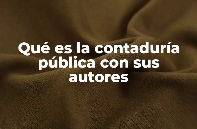 Qué es la Contaduría Pública con Sus Autores