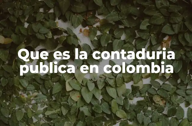 Que es la Contaduria Publica en Colombia