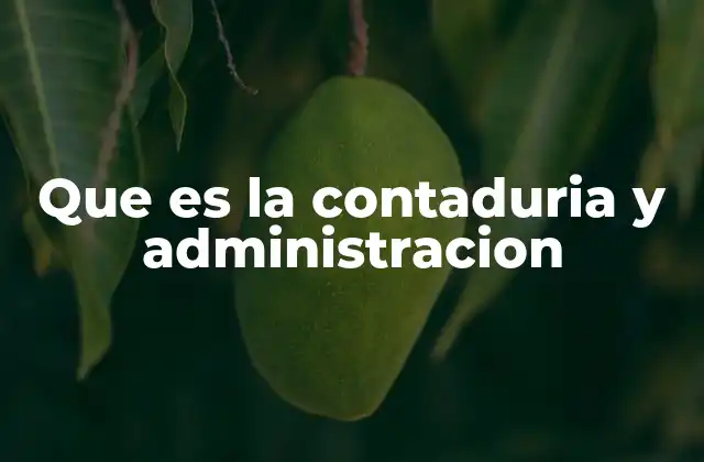 Que es la Contaduria y Administracion