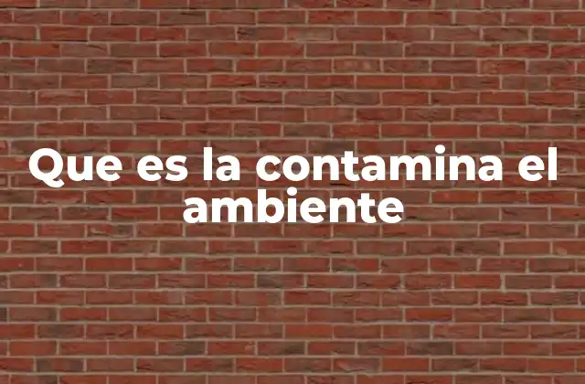 Que es la Contamina el Ambiente
