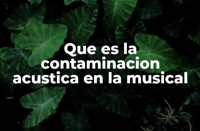 Que es la Contaminacion Acustica en la Musical