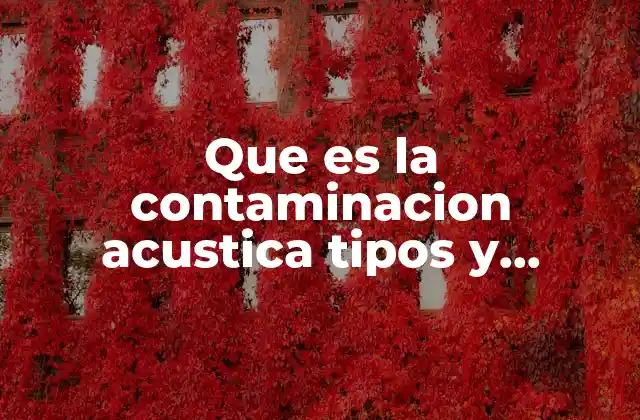 Que es la Contaminacion Acustica Tipos y Conseuencis