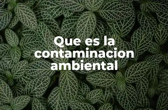 Que es la Contaminacion Ambiental