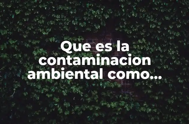 Que es la Contaminacion Ambiental como Prevenirla