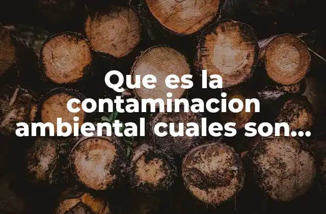 Que es la Contaminacion Ambiental Cuales Son Sus Causas