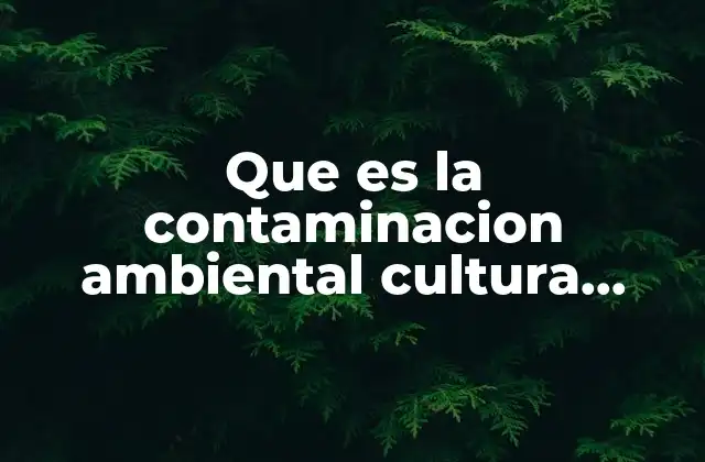 Que es la Contaminacion Ambiental Cultura Material