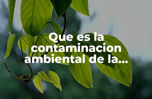 Que es la Contaminacion Ambiental de la Estetica 2 La estética y su impacto en el entorno natural