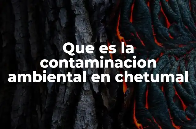 Que es la Contaminacion Ambiental en Chetumal
