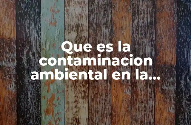 Que es la Contaminacion Ambiental en la Materia Seguridad