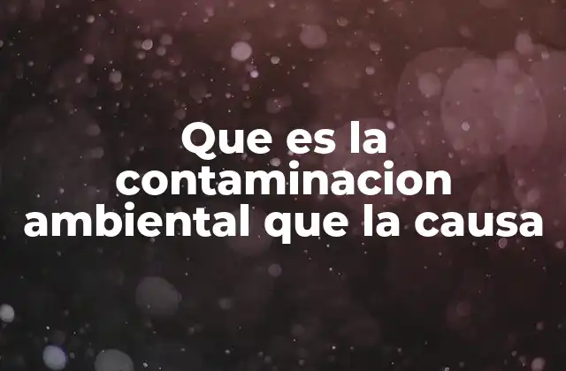 Que es la Contaminacion Ambiental que la Causa