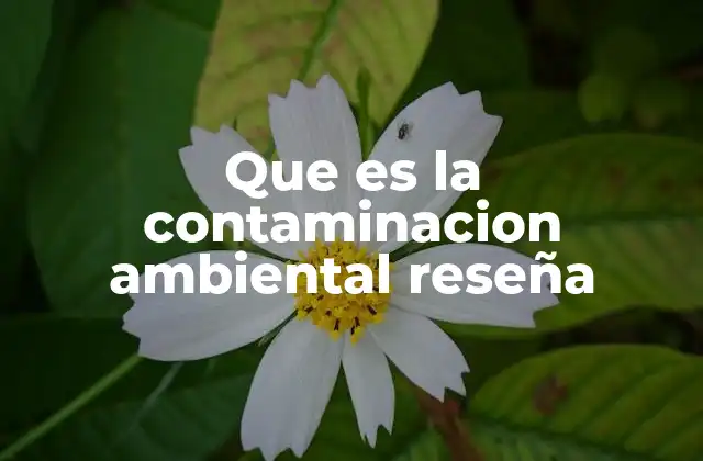 El impacto de la contaminación en los ecosistemas