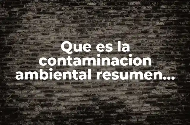 Que es la Contaminacion Ambiental Resumen Corto para Niños