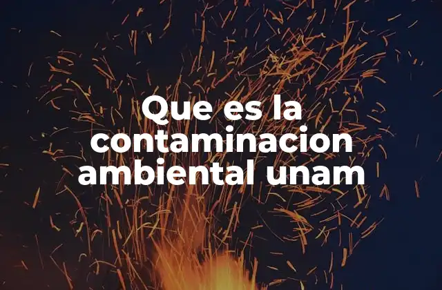Que es la Contaminacion Ambiental Unam