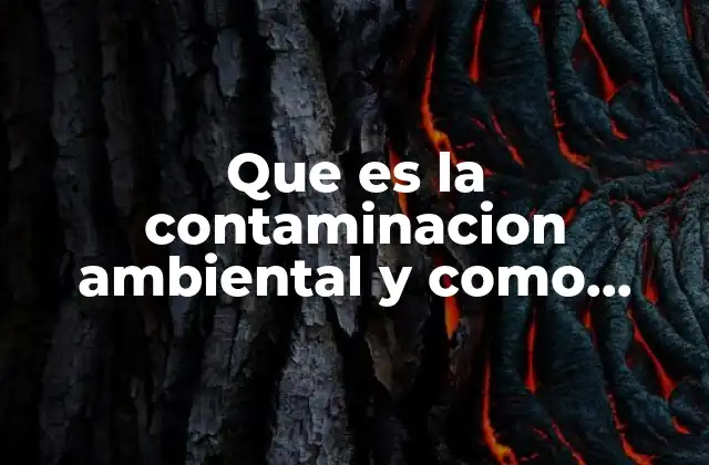 Que es la Contaminacion Ambiental y como Afecta Al Planeta