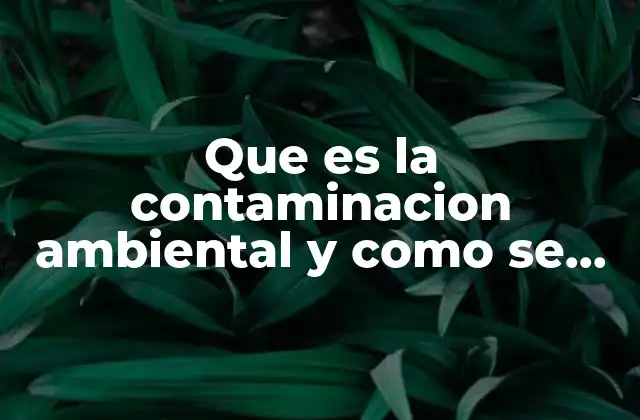 Que es la Contaminacion Ambiental y como Se Produce