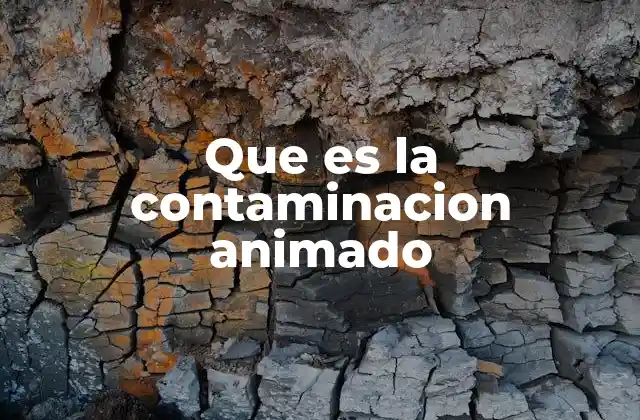 Que es la Contaminacion Animado