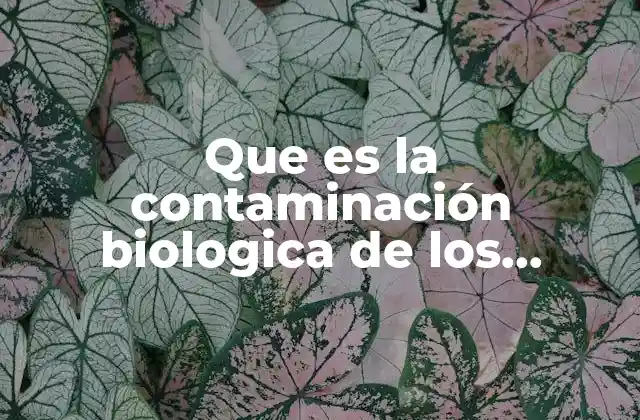 Que es la Contaminación Biologica de los Alimentos