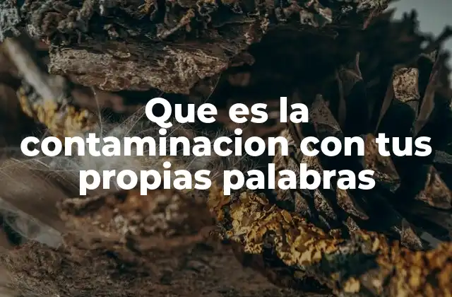 Que es la Contaminacion con Tus Propias Palabras