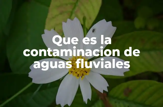 Que es la Contaminacion de Aguas Fluviales 2 El impacto de la contaminación en los ecosistemas acuáticos