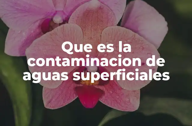 Que es la Contaminacion de Aguas Superficiales