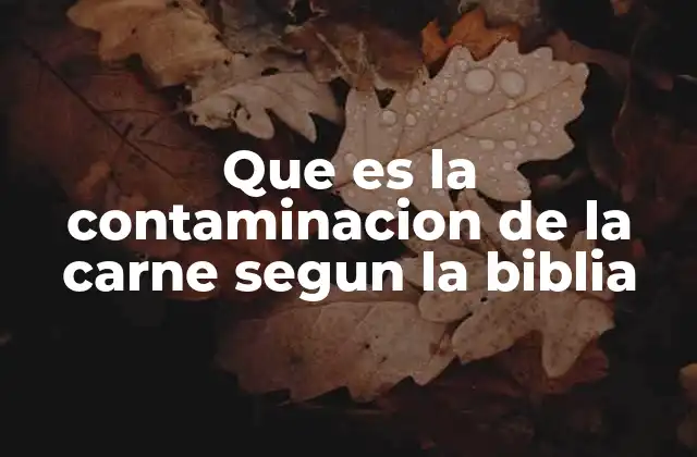 Que es la Contaminacion de la Carne Segun la Biblia