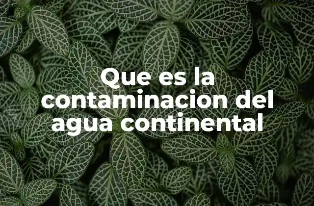 Que es la Contaminacion Del Agua Continental