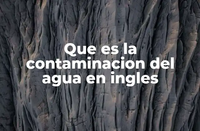 Que es la Contaminacion Del Agua en Ingles