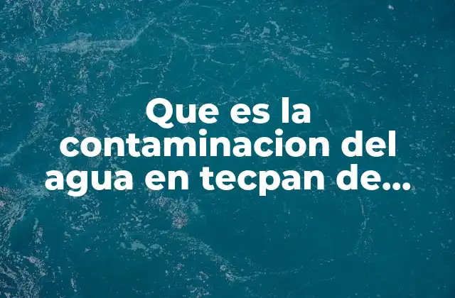El impacto ambiental y social de la contaminación hídrica en Tecpan