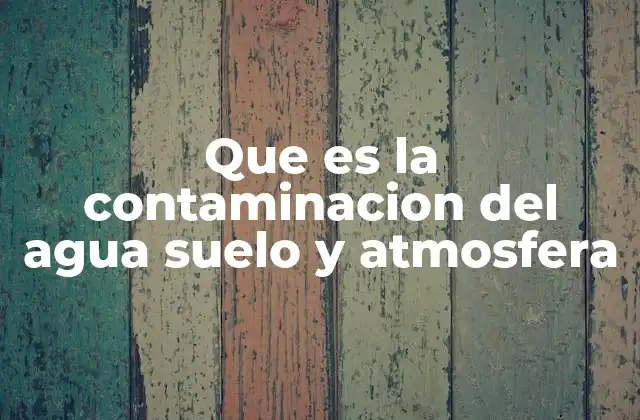 Los efectos de la contaminación ambiental en los ecosistemas
