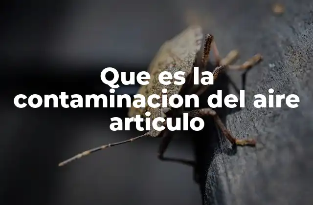 Que es la Contaminacion Del Aire Articulo 2 Factores que contribuyen a la degradación de la calidad del aire