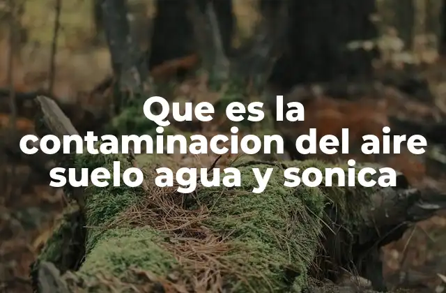 Que es la Contaminacion Del Aire Suelo Agua y Sonica