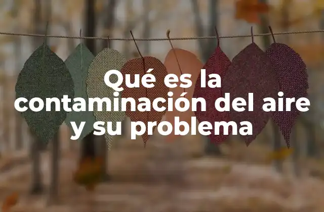 Qué es la Contaminación Del Aire y Su Problema