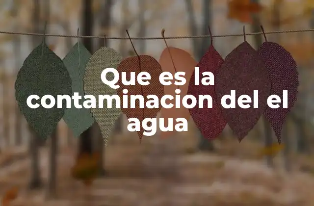 Que es la Contaminacion Del el Agua