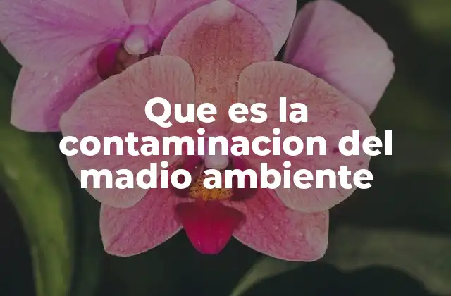 Que es la Contaminacion Del Madio Ambiente