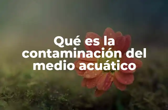 Qué es la Contaminación Del Medio Acuático