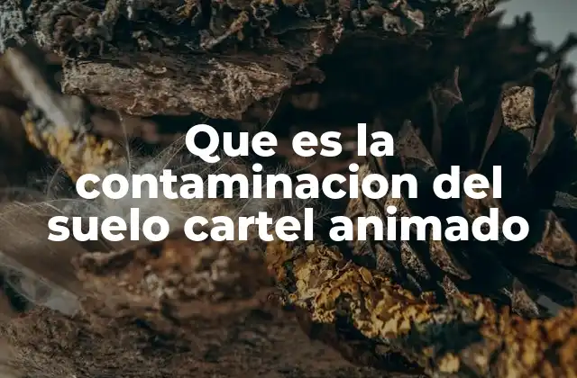 Que es la Contaminacion Del Suelo Cartel Animado