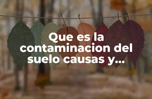 Que es la Contaminacion Del Suelo Causas y Soluciones
