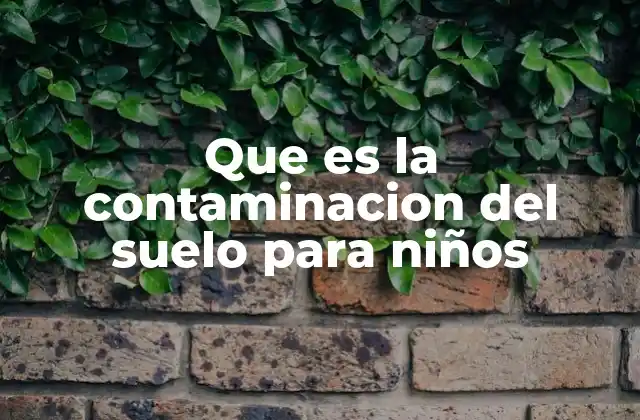 Que es la Contaminacion Del Suelo para Niños