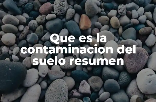 Que es la Contaminacion Del Suelo Resumen