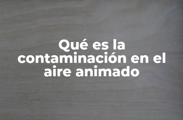 Qué es la Contaminación en el Aire Animado
