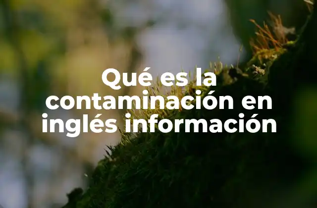 Qué es la Contaminación en Inglés Información