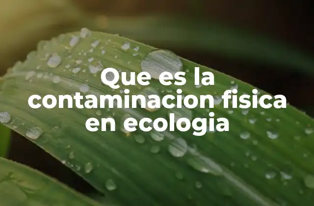Que es la Contaminacion Fisica en Ecologia