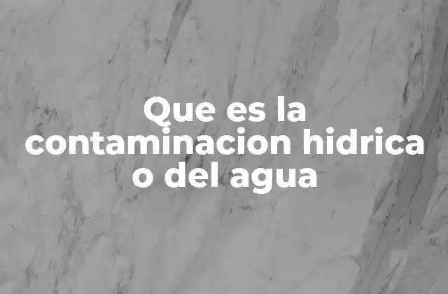 Que es la Contaminacion Hidrica o Del Agua