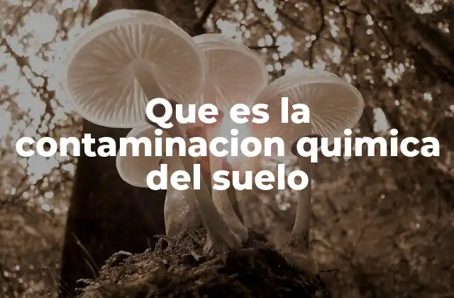 Que es la Contaminacion Quimica Del Suelo 2 Factores que contribuyen a la degradación química del terreno