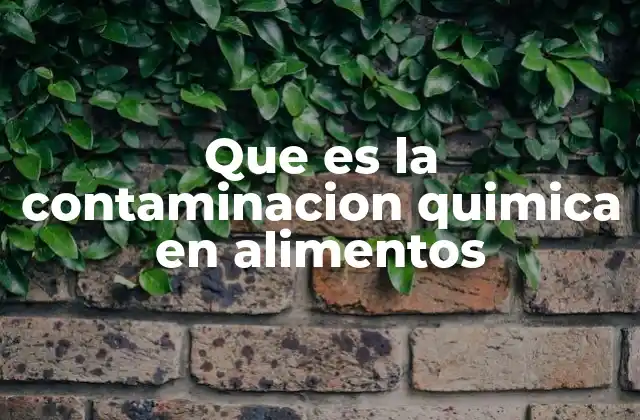 Que es la Contaminacion Quimica en Alimentos