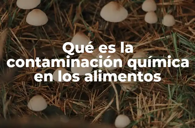 Qué es la Contaminación Química en los Alimentos