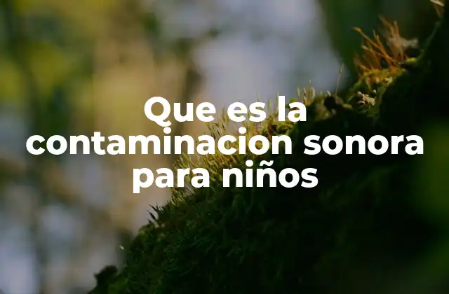 Que es la Contaminacion Sonora para Niños