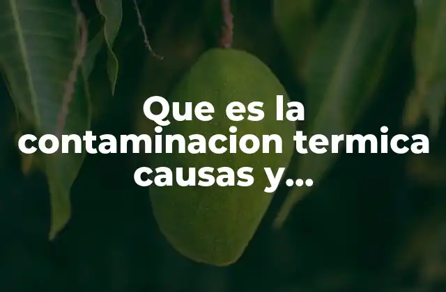 Que es la Contaminacion Termica Causas y Consecuencias