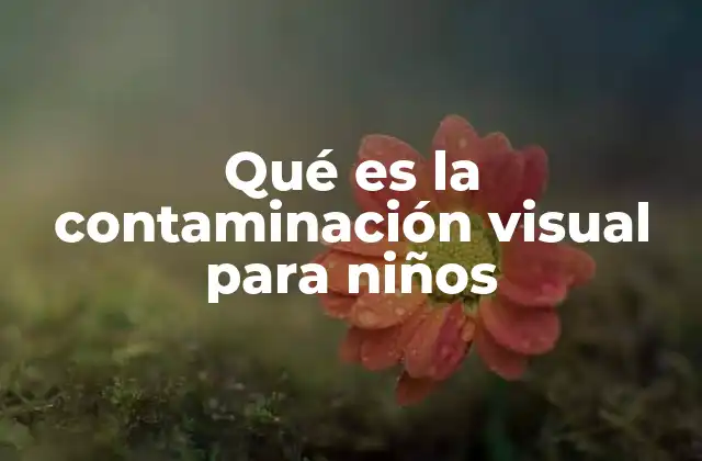 Qué es la Contaminación Visual para Niños