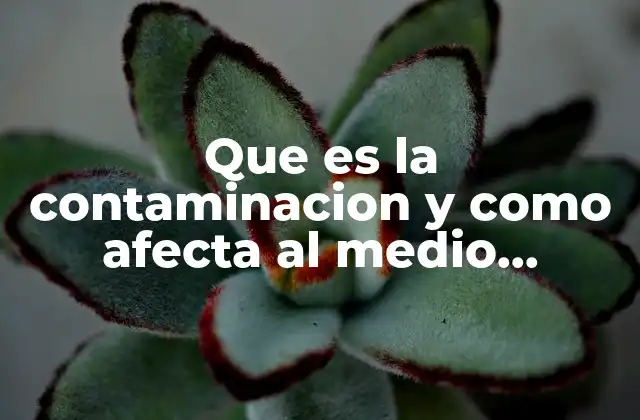 Que es la Contaminacion y como Afecta Al Medio Ambiente